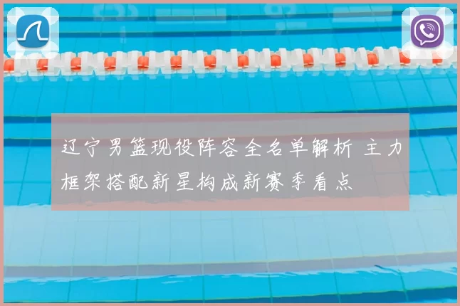 辽宁男篮现役阵容全名单解析 主力框架搭配新星构成新赛季看点