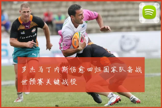 罗杰马丁内斯伤愈回归国家队备战世预赛关键战役