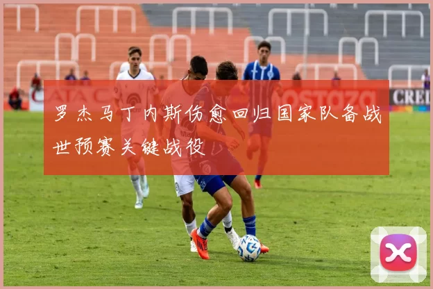 罗杰马丁内斯伤愈回归国家队备战世预赛关键战役