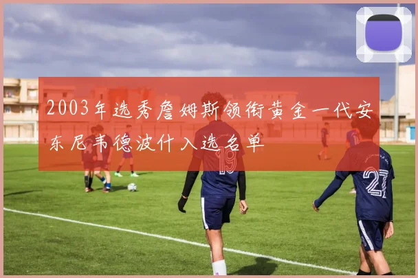 2003年选秀詹姆斯领衔黄金一代安东尼韦德波什入选名单